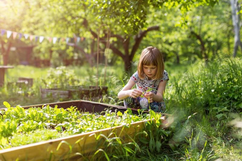 young girl looking at plants in garden bed